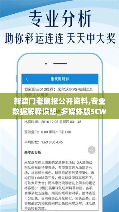 新澳门老鼠报公开资料,专业数据解释设想_多媒体版SCW2.82