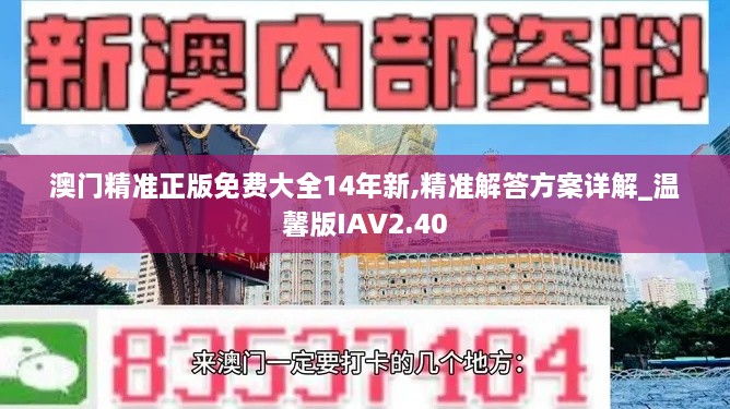 澳门精准正版免费大全14年新,精准解答方案详解_温馨版IAV2.40