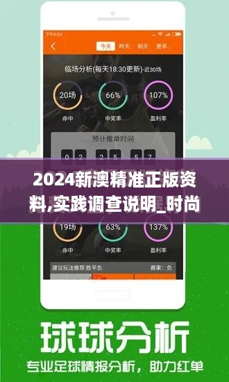 2024新澳精准正版资料,实践调查说明_时尚版GKX2.79