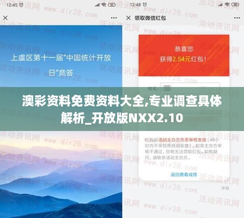 澳彩资料免费资料大全,专业调查具体解析_开放版NXX2.10