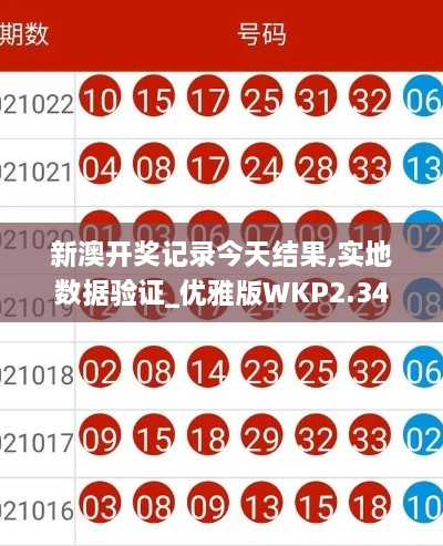 新澳开奖记录今天结果,实地数据验证_优雅版WKP2.34