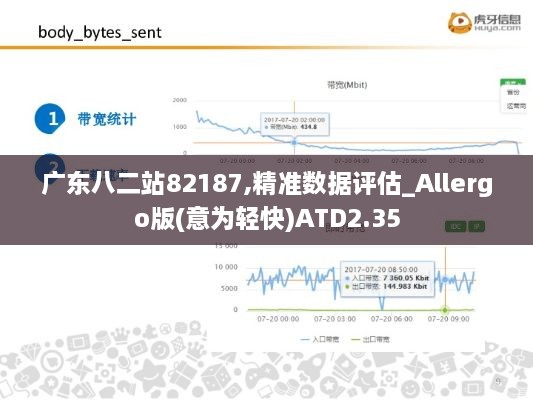 广东八二站82187,精准数据评估_Allergo版(意为轻快)ATD2.35