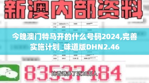 今晚澳门特马开的什么号码2024,完善实施计划_味道版DHN2.46