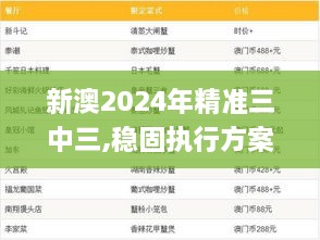 新澳2024年精准三中三,稳固执行方案计划_味道版LXL2.14