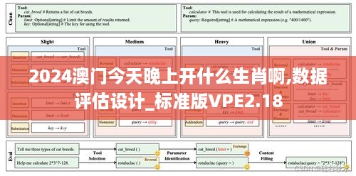 2024澳门今天晚上开什么生肖啊,数据评估设计_标准版VPE2.18