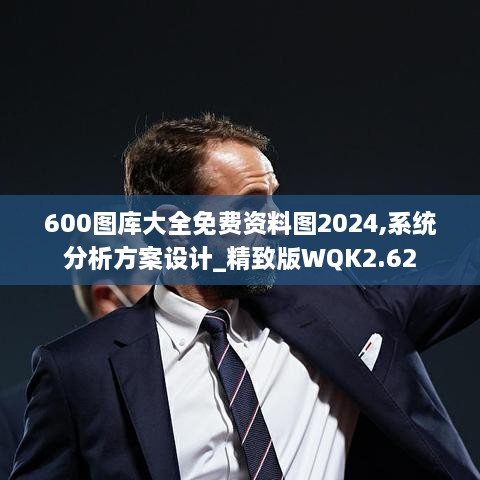 600图库大全免费资料图2024,系统分析方案设计_精致版WQK2.62