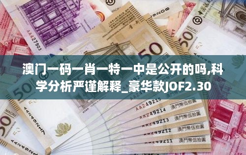 澳门一码一肖一特一中是公开的吗,科学分析严谨解释_豪华款JOF2.30