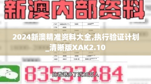 2024新澳精准资料大全,执行验证计划_清晰版XAK2.10