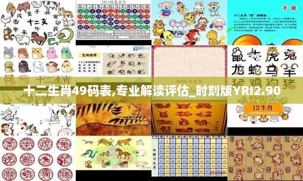 十二生肖49码表,专业解读评估_时刻版YRI2.90