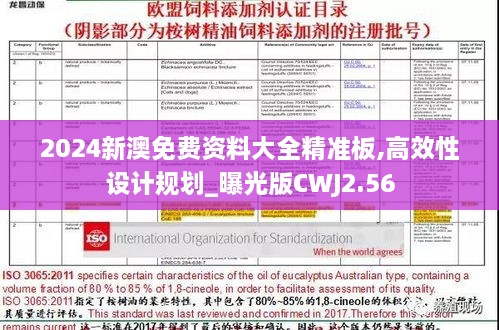 2024新澳免费资料大全精准板,高效性设计规划_曝光版CWJ2.56