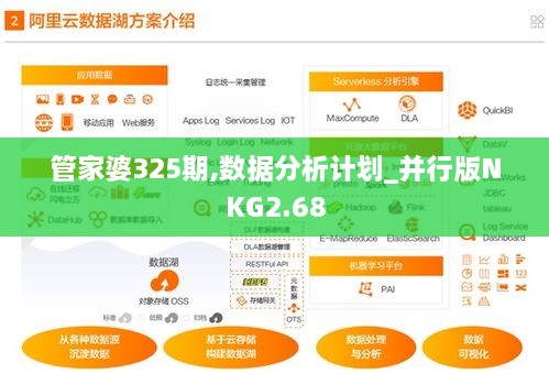 管家婆325期,数据分析计划_并行版NKG2.68