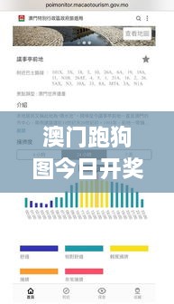 澳门跑狗图今日开奖开什么奖,数据管理策略_拍照版KOS2.40