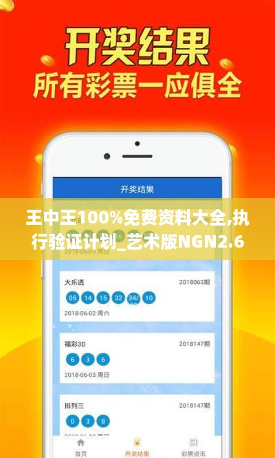 王中王100%免费资料大全,执行验证计划_艺术版NGN2.66