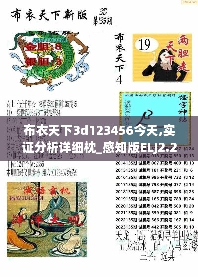 布衣天下3d123456今天,实证分析详细枕_感知版ELJ2.27