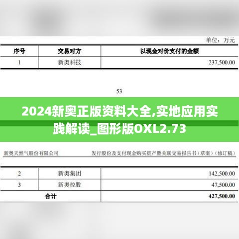 2024新奥正版资料大全,实地应用实践解读_图形版OXL2.73