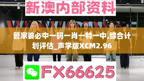 管家婆必中一码一肖一特一中,综合计划评估_声学版XCM2.96