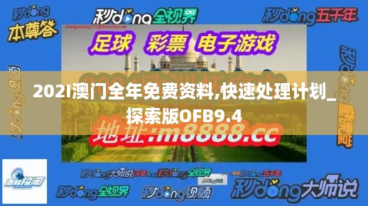 202I澳门全年免费资料,快速处理计划_探索版OFB9.4