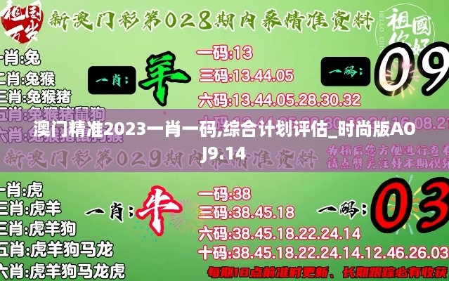 澳门精准2023一肖一码,综合计划评估_时尚版AOJ9.14