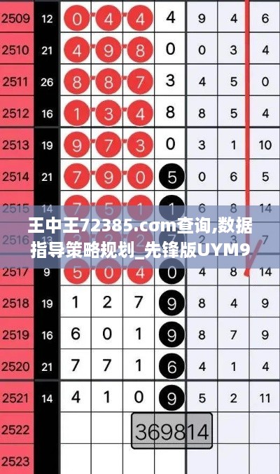 王中王72385.cσm查询,数据指导策略规划_先锋版UYM9.16