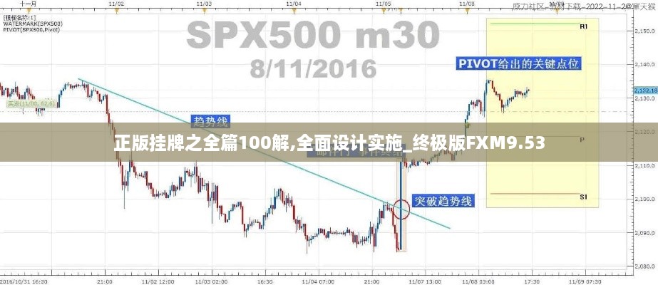 正版挂牌之全篇100解,全面设计实施_终极版FXM9.53