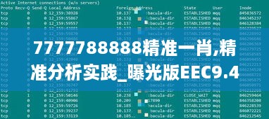 7777788888精准一肖,精准分析实践_曝光版EEC9.40