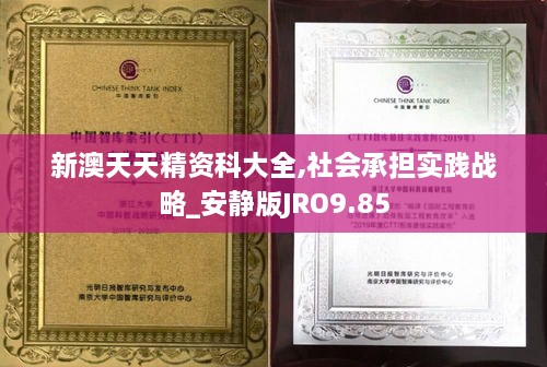 新澳天天精资科大全,社会承担实践战略_安静版JRO9.85