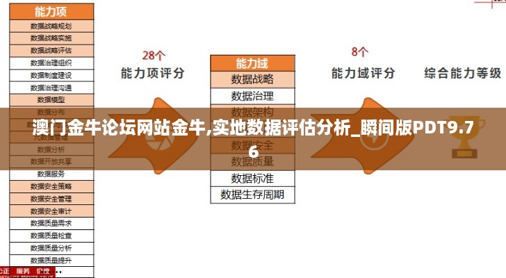 澳门金牛论坛网站金牛,实地数据评估分析_瞬间版PDT9.76