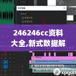 246246cc资料大全,新式数据解释设想_触感版XFO9.15