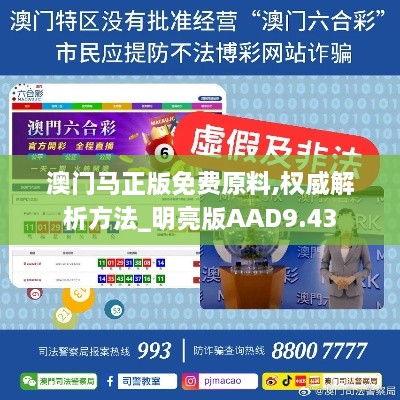 澳门马正版免费原料,权威解析方法_明亮版AAD9.43