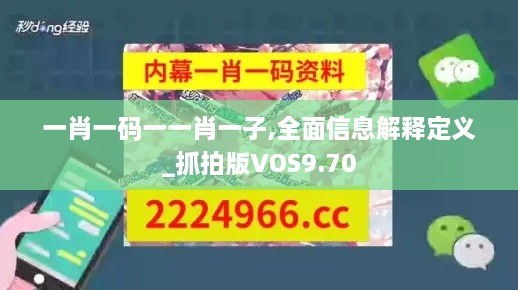 一肖一码一一肖一子,全面信息解释定义_抓拍版VOS9.70