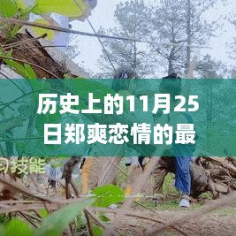 郑爽恋情下的自然之旅，一场寻找内心平静的奇妙探险之旅（最新2017年）