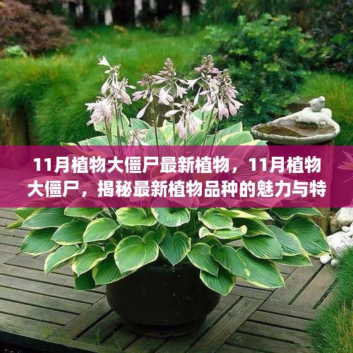 揭秘植物大僵尸新成员，11月最新植物品种特性与魅力一览