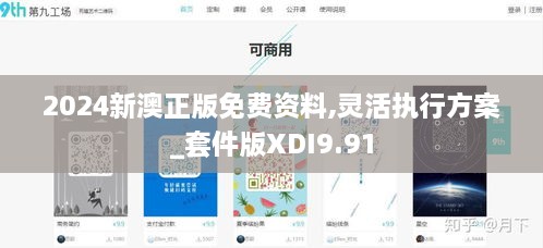 2024新澳正版免费资料,灵活执行方案_套件版XDI9.91