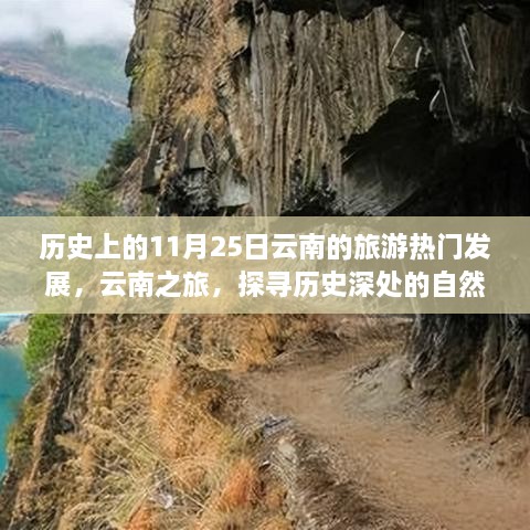 云南之旅，探寻历史深处的自然秘境，探寻云南旅游热门发展的历史变迁——11月25日的宁静之旅