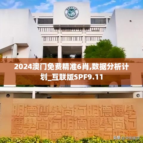 2024澳门免费精准6肖,数据分析计划_互联版SPF9.11