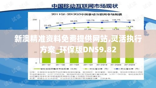 新澳精准资料免费提供网站,灵活执行方案_环保版DNS9.82