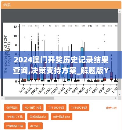 2024澳门开奖历史记录结果查询,决策支持方案_解题版YPR9.89