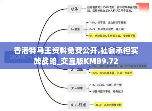 香港特马王资料免费公开,社会承担实践战略_交互版KMB9.72