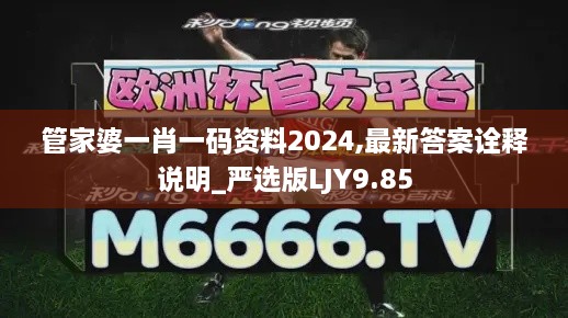 管家婆一肖一码资料2024,最新答案诠释说明_严选版LJY9.85