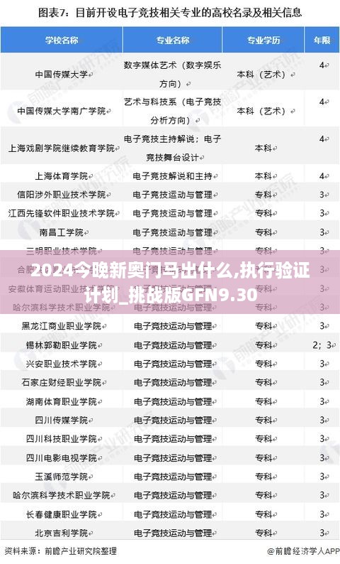 2024今晚新奥门马出什么,执行验证计划_挑战版GFN9.30