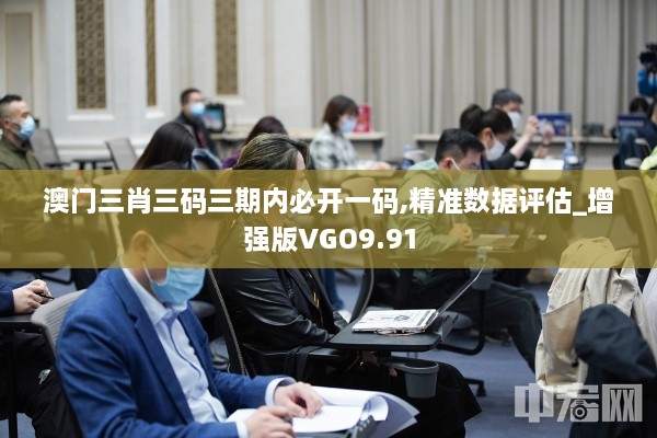 澳门三肖三码三期内必开一码,精准数据评估_增强版VGO9.91