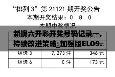 新澳六开彩开奖号码记录一,持续改进策略_加强版ELO9.30