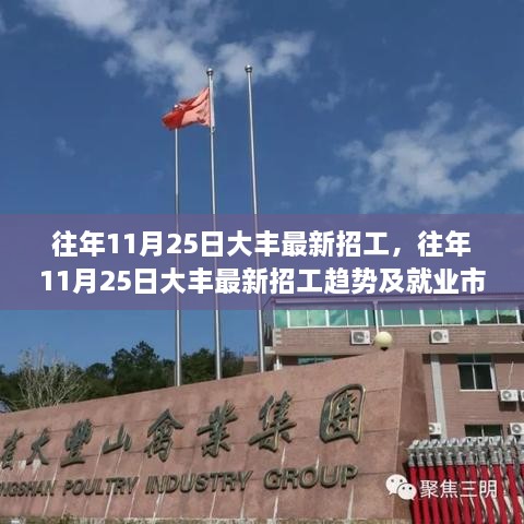 往年11月25日大丰最新招工趋势及就业市场分析，洞悉招工动态与市场前景