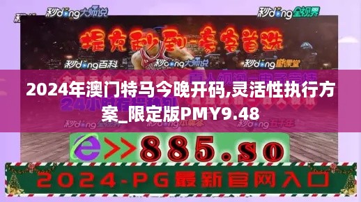 2024年澳门特马今晚开码,灵活性执行方案_限定版PMY9.48