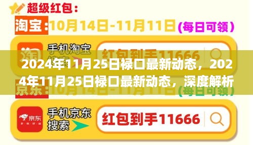 深度解析与观点阐述，2024年11月25日禄口最新动态