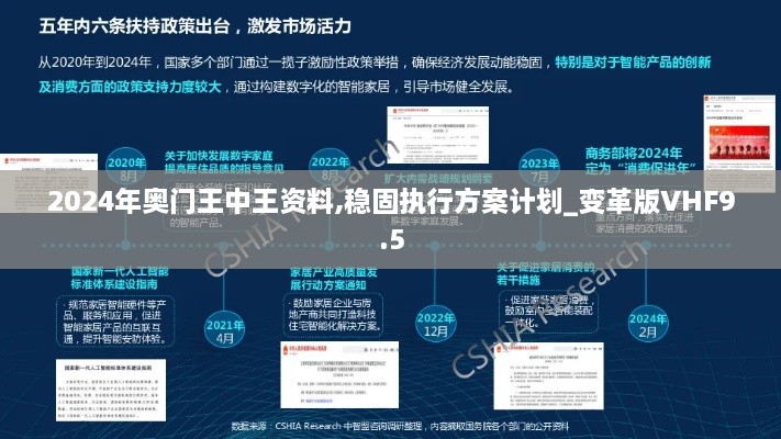 2024年奥门王中王资料,稳固执行方案计划_变革版VHF9.5