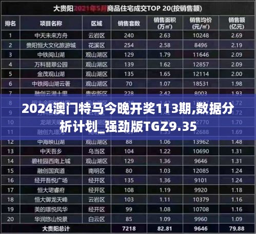 2024澳门特马今晚开奖113期,数据分析计划_强劲版TGZ9.35