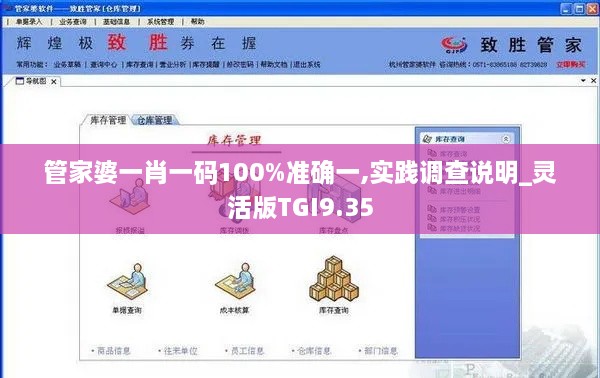 管家婆一肖一码100%准确一,实践调查说明_灵活版TGI9.35