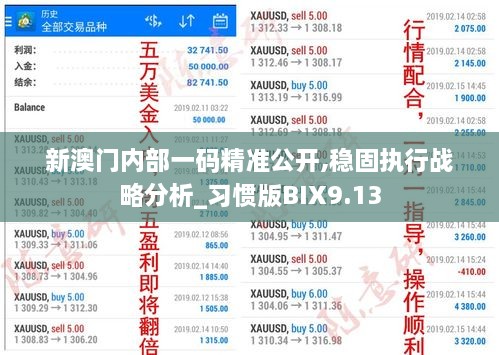 新澳门内部一码精准公开,稳固执行战略分析_习惯版BIX9.13