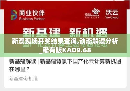 新澳现场开奖结果查询,动态解读分析_稀有版KAD9.68